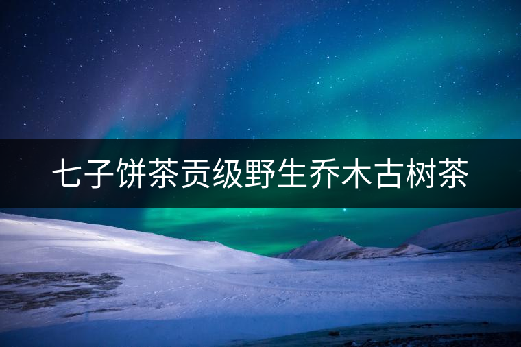 七子餅茶貢級(jí)野生喬木古樹茶