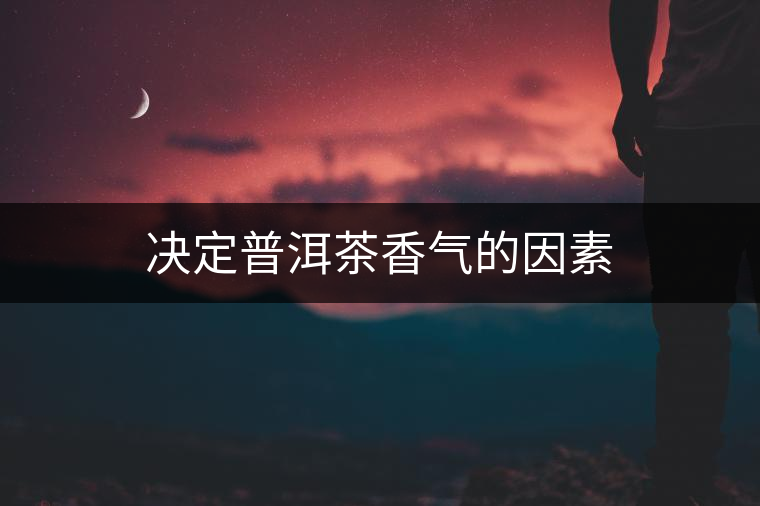 決定普洱茶香氣的因素 決定普洱茶香氣的因素