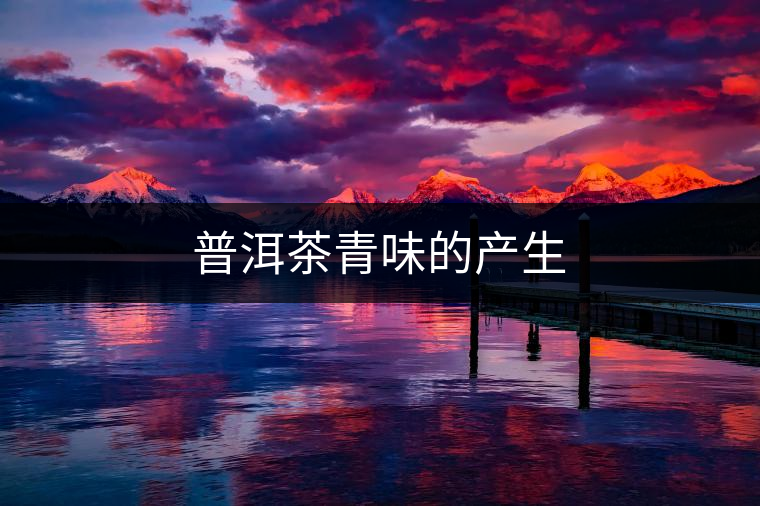 普洱茶青味的產生