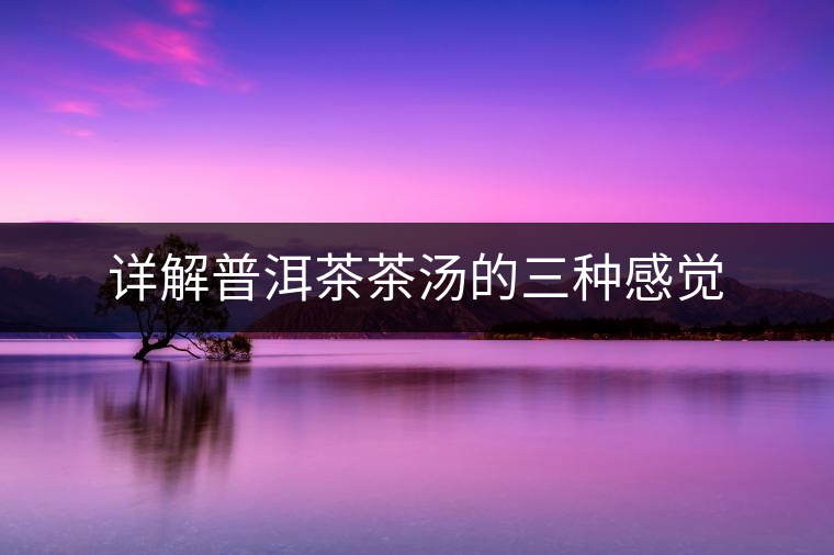 詳解普洱茶茶湯的三種感覺