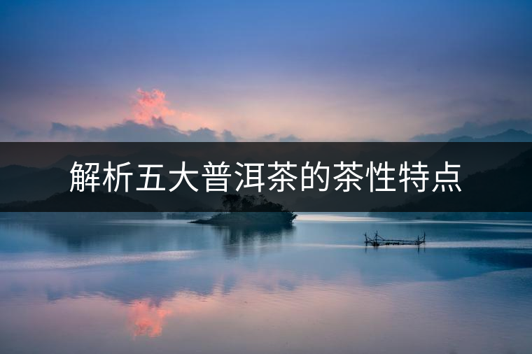 解析五大普洱茶的茶性特點(diǎn) 解析五大普洱茶的茶性特點(diǎn)