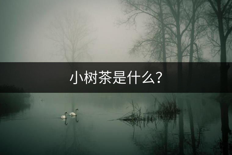 小樹茶是什么？
