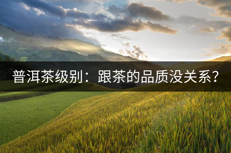 普洱茶級別：跟茶的品質(zhì)沒關(guān)系？