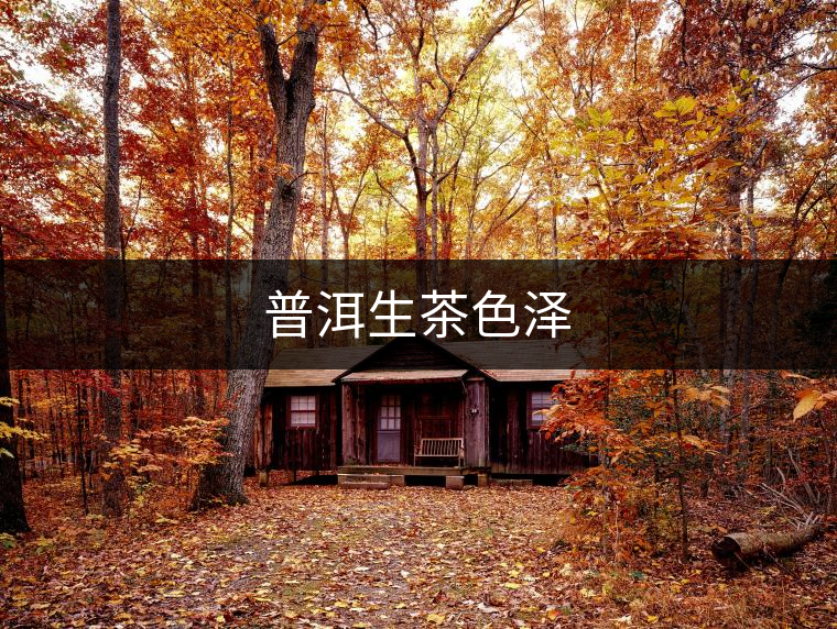 普洱生茶色澤 普洱生茶色澤