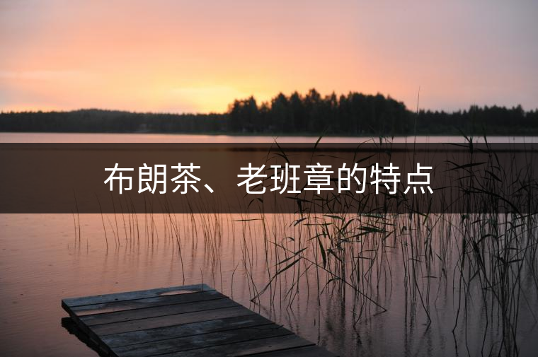 布朗茶、老班章的特點(diǎn)