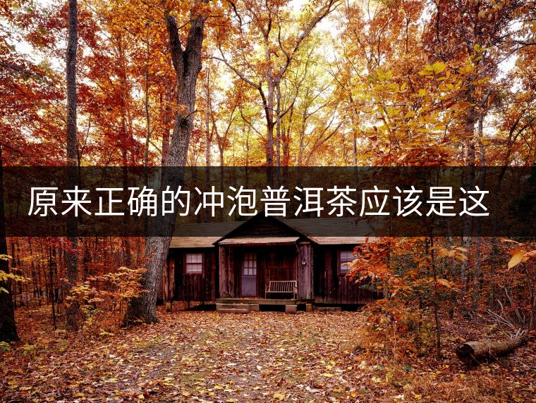 原來(lái)正確的沖泡普洱茶應(yīng)該是這樣的 原來(lái)正確的沖泡普洱茶應(yīng)該是這樣的