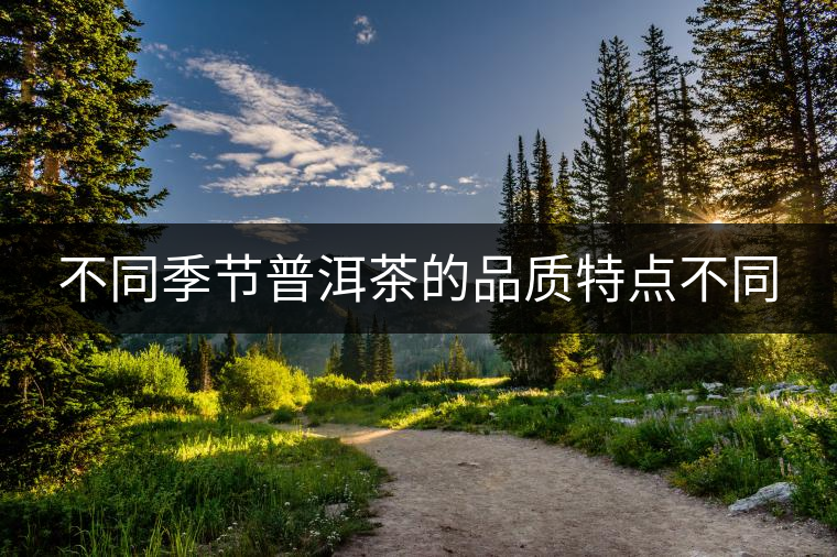 不同季節(jié)普洱茶的品質(zhì)特點不同