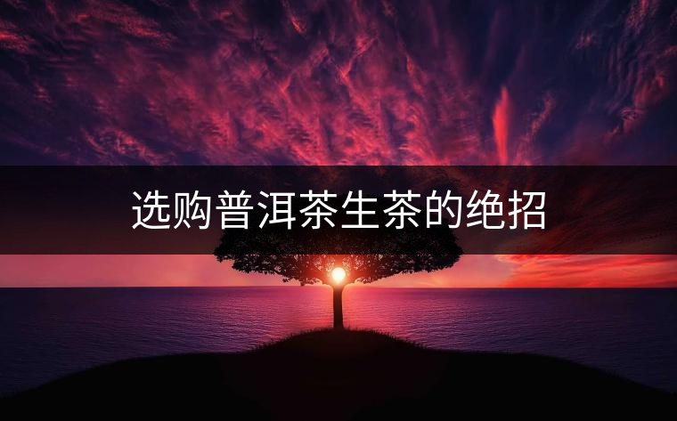 選購普洱茶生茶的絕招 選購普洱茶生茶的絕招