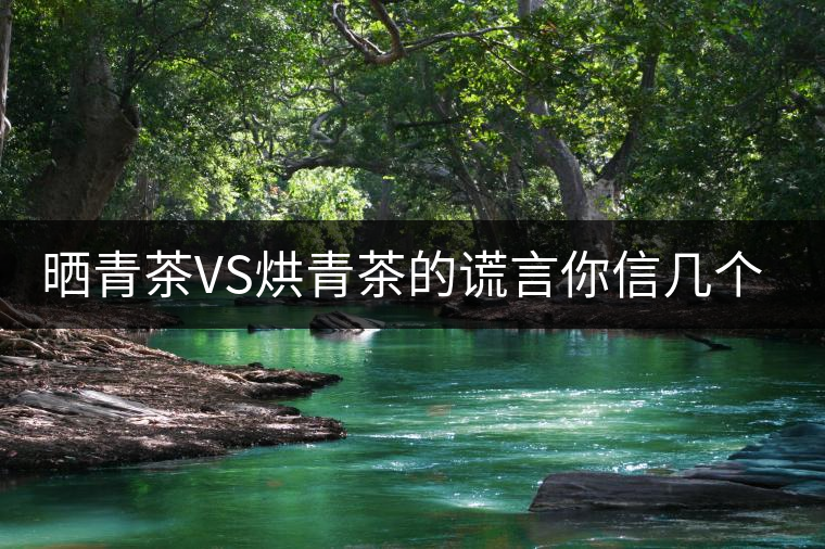 曬青茶VS烘青茶的謊言你信幾個(gè)？