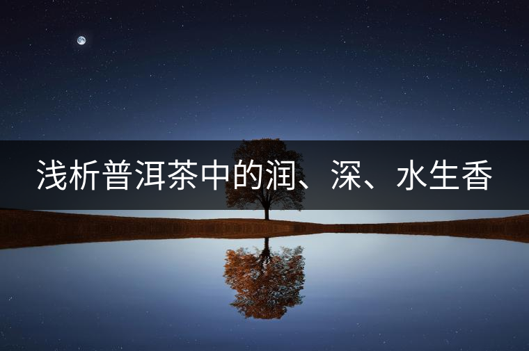 淺析普洱茶中的潤、深、水生香