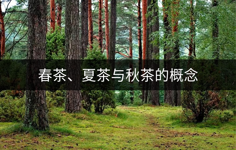 春茶、夏茶與秋茶的概念