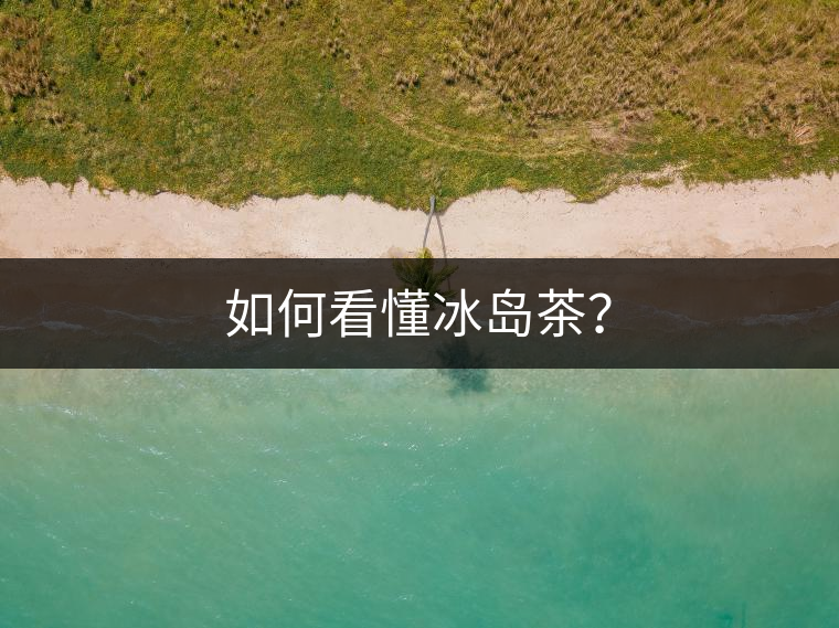 如何看懂冰島茶？