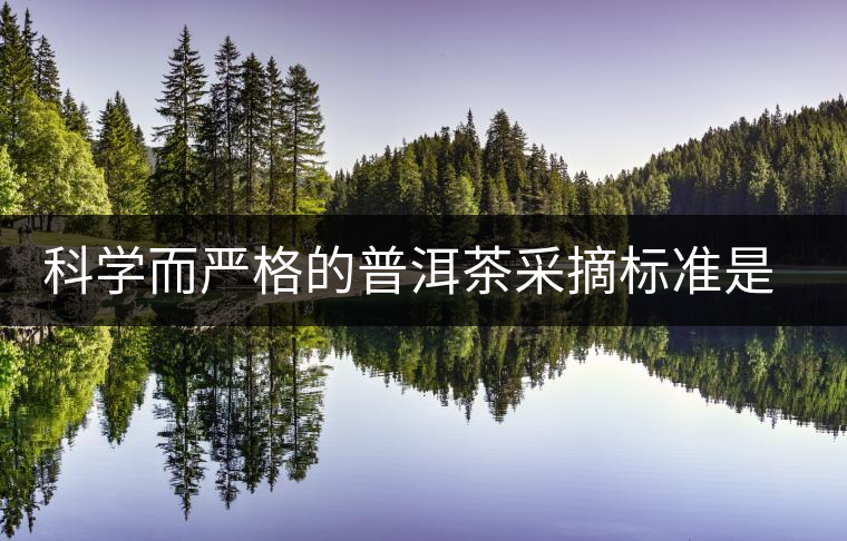 科學(xué)而嚴(yán)格的普洱茶采摘標(biāo)準(zhǔn)是優(yōu)質(zhì)原料的保證 科學(xué)而嚴(yán)格的普洱茶采摘標(biāo)準(zhǔn)是優(yōu)質(zhì)原料的保證