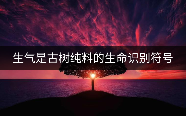 生氣是古樹純料的生命識別符號 生氣是古樹純料的生命識別符號