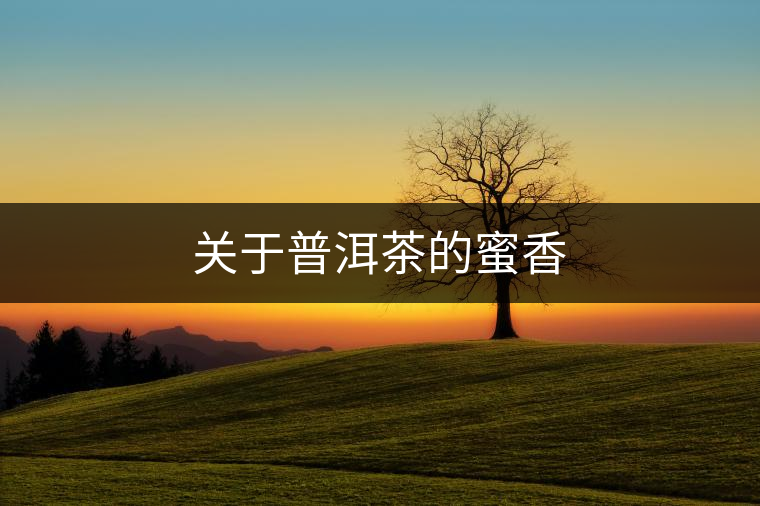 關于普洱茶的蜜香 關于普洱茶的蜜香