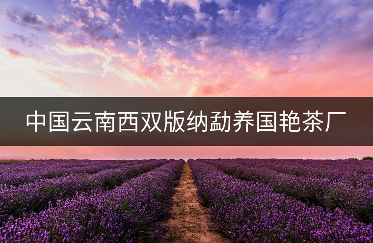 中國(guó)云南西雙版納勐養(yǎng)國(guó)艷茶廠