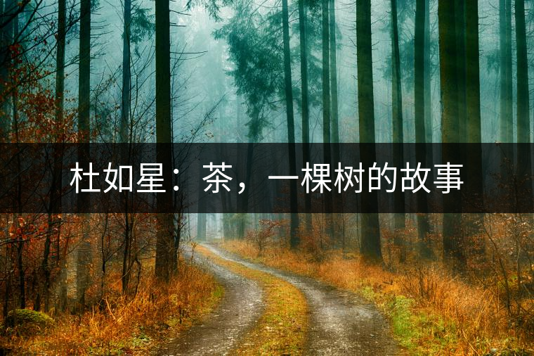 杜如星：茶，一棵樹的故事