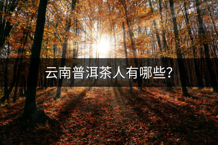 云南普洱茶人有哪些？