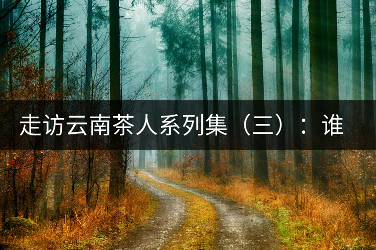 走訪云南茶人系列集（三）：誰說普洱不產(chǎn)茶？——張順高