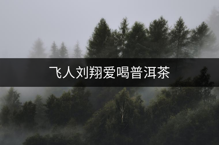 飛人劉翔愛(ài)喝普洱茶