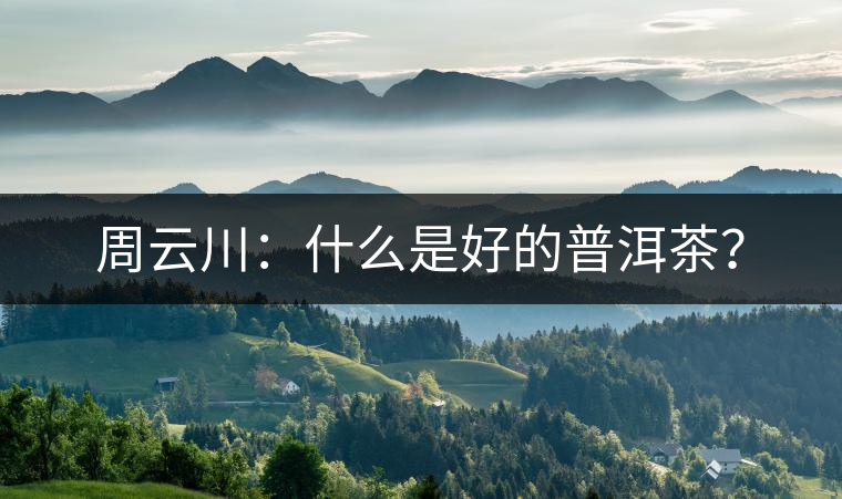 周云川：什么是好的普洱茶？