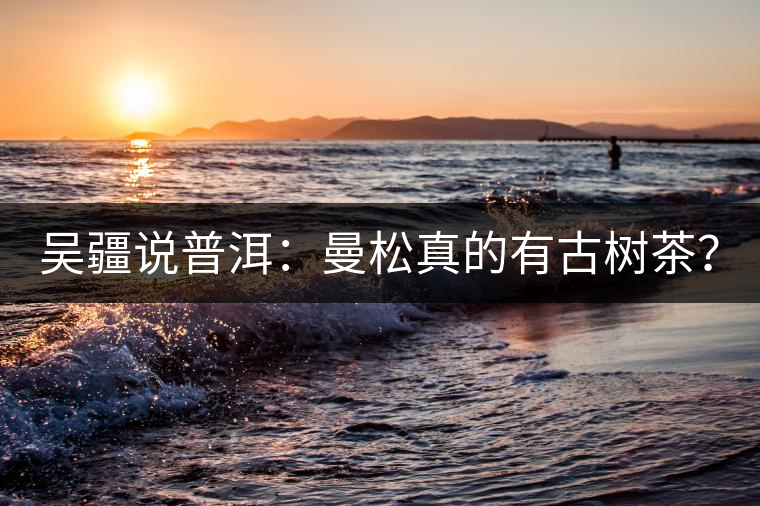 吳疆說普洱：曼松真的有古樹茶？