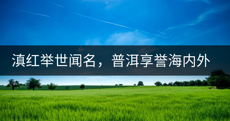 滇紅舉世聞名，普洱享譽海內(nèi)外丨專家座談——虞富蓮