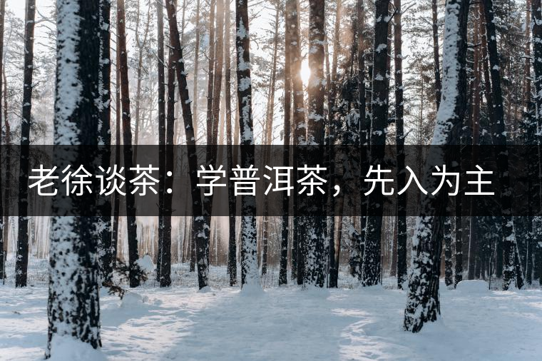 老徐談茶：學(xué)普洱茶，先入為主易被打臉，還得實(shí)踐出真知！