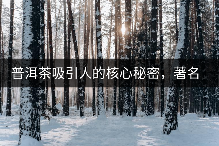 普洱茶吸引人的核心秘密，著名作家余秋雨先生三句話就告訴你