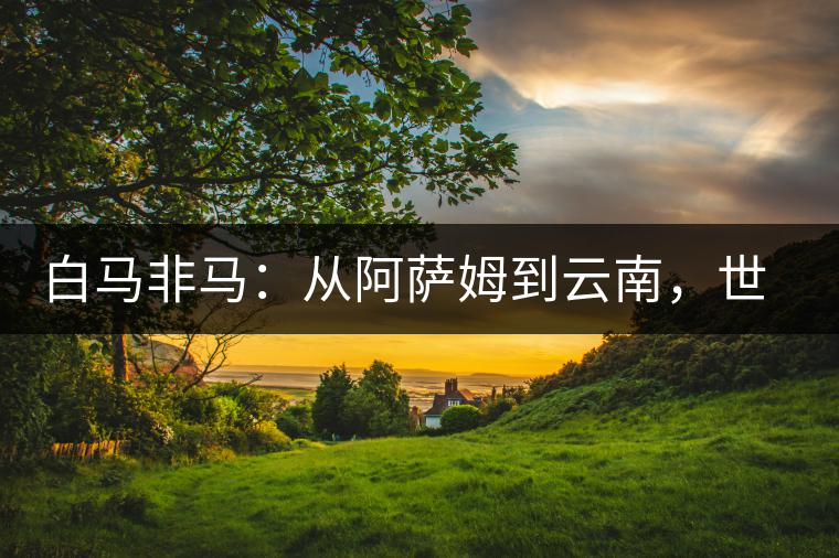 白馬非馬：從阿薩姆到云南，世界茶樹起源爭論的誤區(qū)