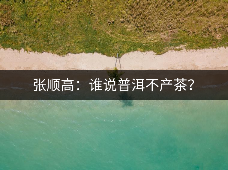 張順高：誰說普洱不產(chǎn)茶？