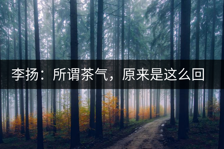 李揚(yáng)：所謂茶氣，原來是這么回事