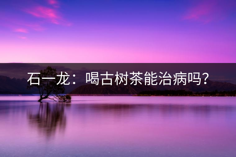 石一龍：喝古樹茶能治病嗎？