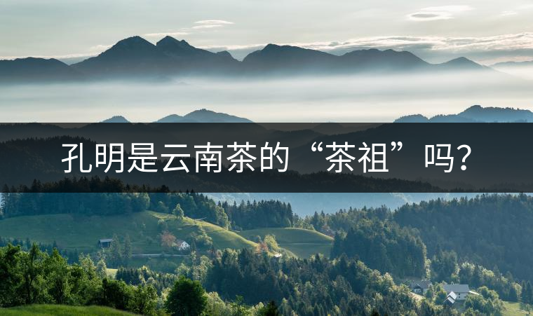 孔明是云南茶的“茶祖”嗎？