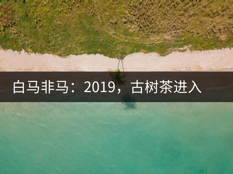 白馬非馬：2019，古樹茶進(jìn)入醇料時(shí)代