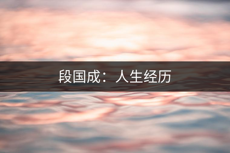 段國成：人生經(jīng)歷