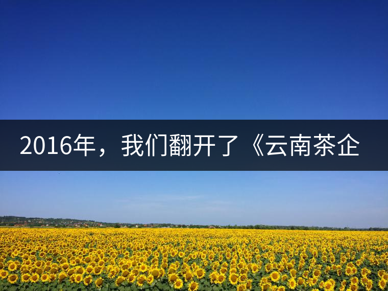 2016年，我們翻開了《云南茶企發(fā)展白皮書》