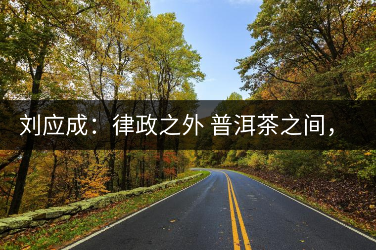 劉應成：律政之外 普洱茶之間，在峨毛茶上的三個首創(chuàng)