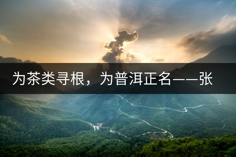為茶類尋根，為普洱正名——張宏達的普洱茶研究
