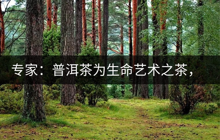 專家：普洱茶為生命藝術(shù)之茶，現(xiàn)低價時期可投資收茶