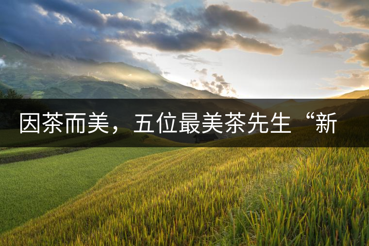 因茶而美，五位最美茶先生“新鮮出爐”啦