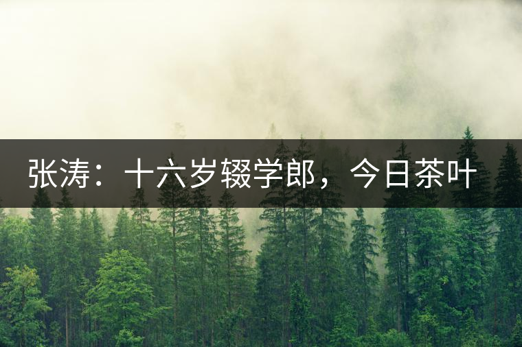 張濤：十六歲輟學郎，今日茶葉中堅