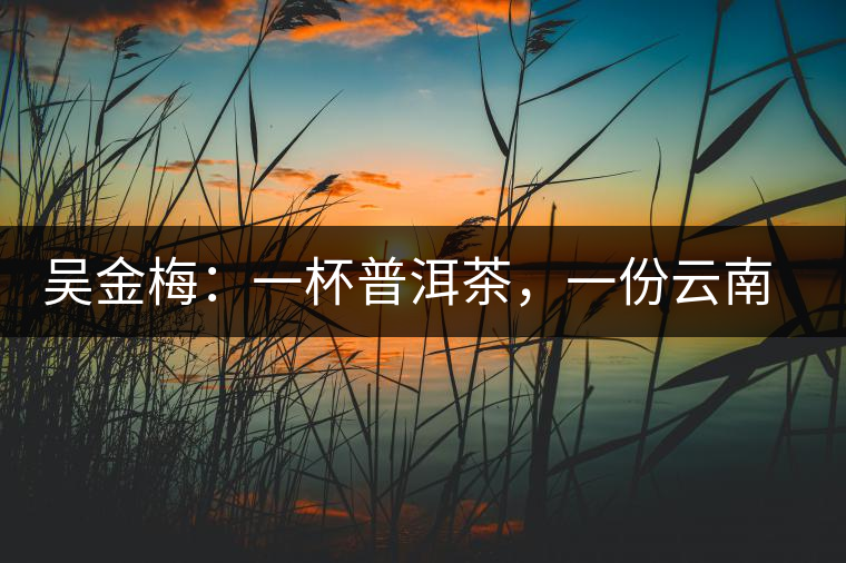 吳金梅：一杯普洱茶，一份云南情