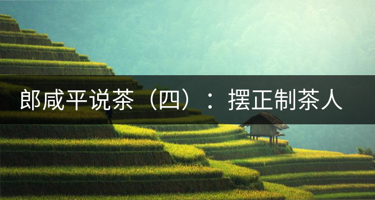 郎咸平說(shuō)茶(四):擺正制茶人的地位 郎咸平說(shuō)茶(四):擺正制茶人的地位