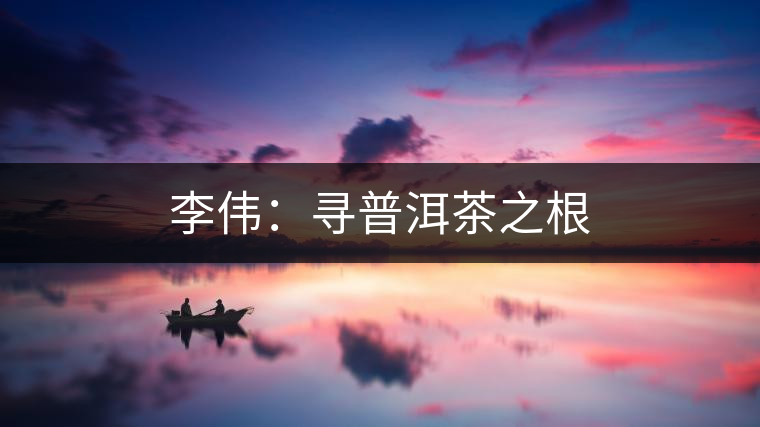 李偉:尋普洱茶之根 李偉:尋普洱茶之根