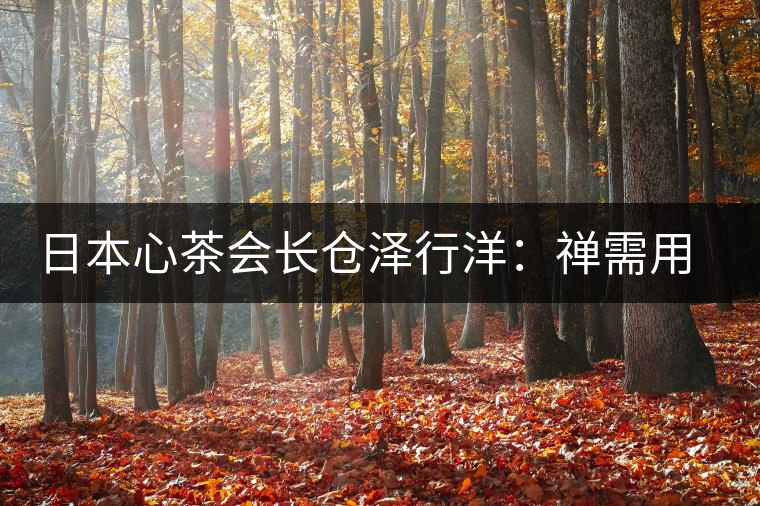 日本心茶會長倉澤行洋：禪需用茶去“抵達”