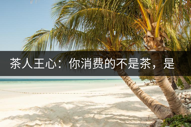 茶人王心：你消費(fèi)的不是茶，是我