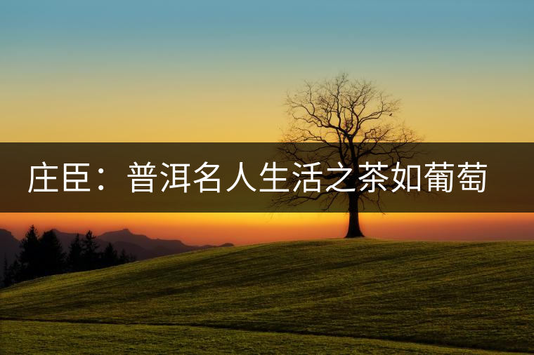 莊臣:普洱名人生活之茶如葡萄酒 莊臣:普洱名人生活之茶如葡萄酒