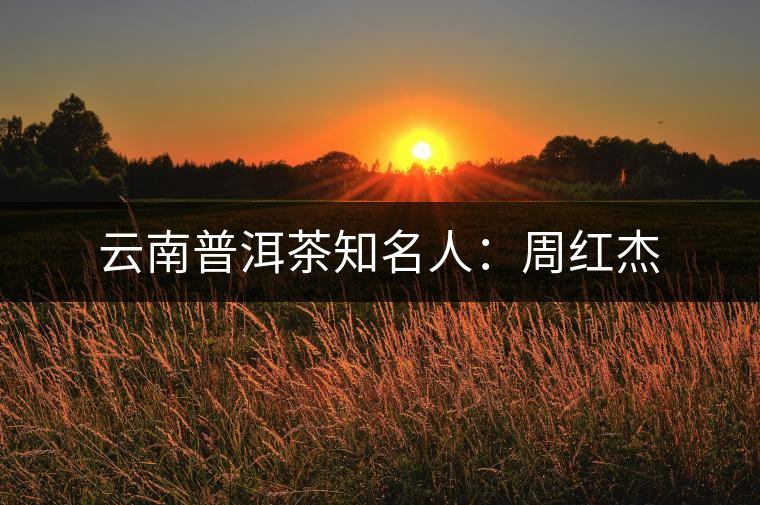云南普洱茶知名人:周紅杰 云南普洱茶知名人:周紅杰