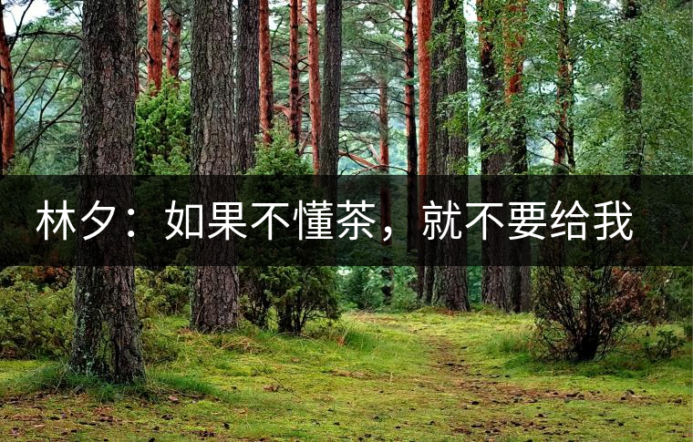 林夕：如果不懂茶，就不要給我送茶